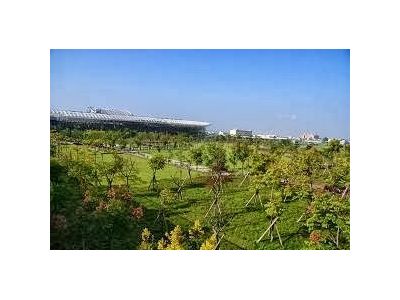 永欣園藝(台中)-undefined