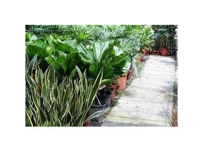 永欣園藝(台中)-undefined