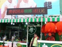 白灰海檳榔-undefined