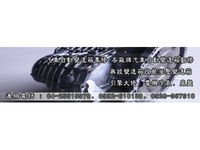 皇星汽車有限公司(台中)-undefined