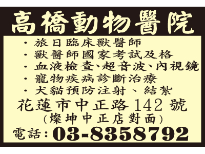 高橋動物醫院-undefined