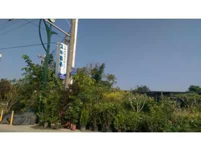 美玲園藝-undefined