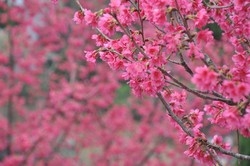 雲端數位工場-undefined