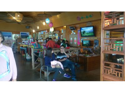 杉林溪銀杏森林-undefined