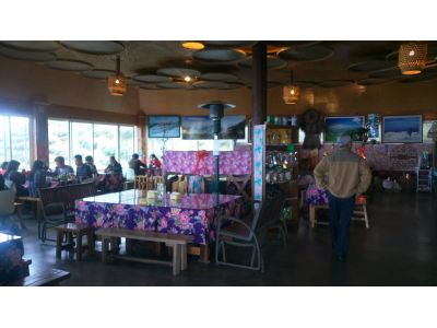 杉林溪銀杏森林-undefined