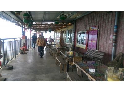 杉林溪銀杏森林-undefined