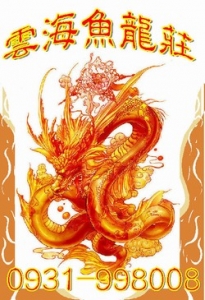 柴犬．雲海魚龍莊-undefined