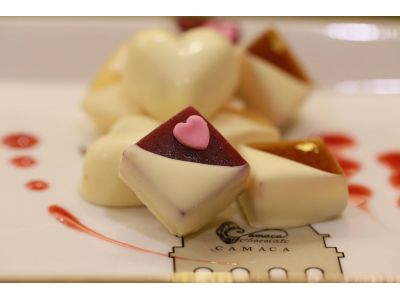 卡莫卡巧克力莊園-undefined