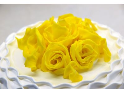 貓耳朵菓子工坊-undefined