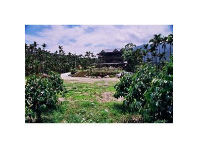 阿比加精品咖啡-undefined