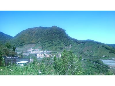 田媽媽友茶居(仙筑山莊)-undefined