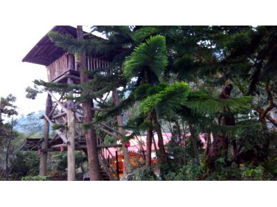 蘭后民宿鄒族文化館-undefined