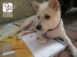 全祐企業行-undefined