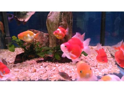 欣展水族館-undefined