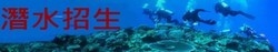 911特遣隊潛水休閒館-undefined