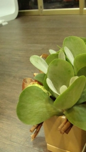 安森傢飾‧精緻裝潢-undefined