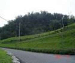 至登貿易有限公司-undefined