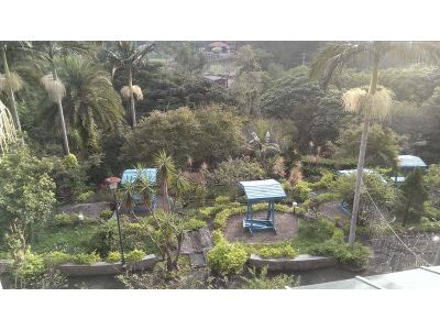 萊馥國際股份有限公司-undefined