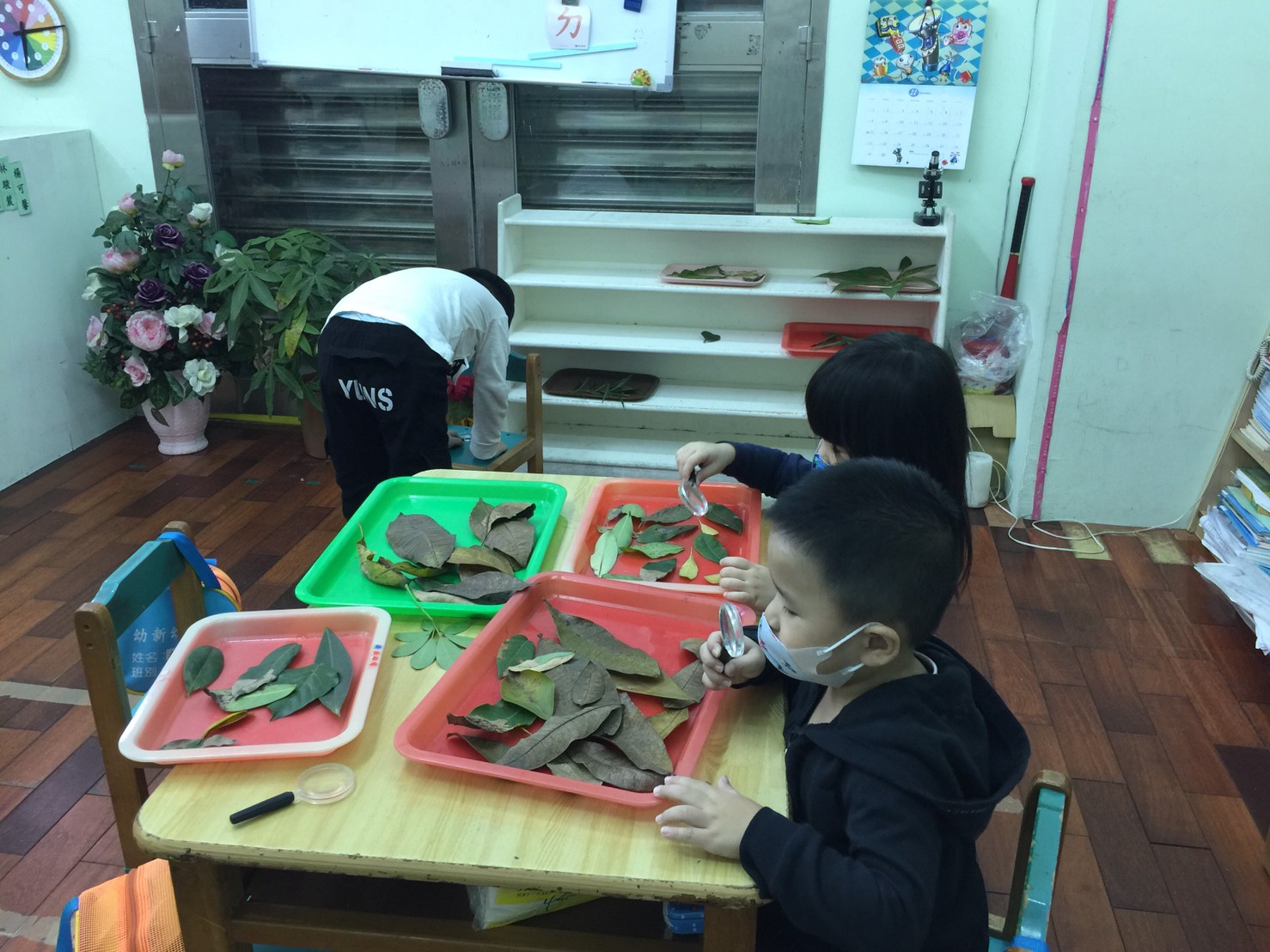 自然觀察區-基隆市私立幼新幼兒園