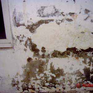 防水‧抓漏‧壁癌處理