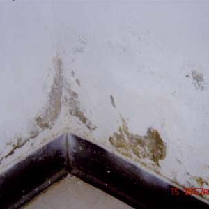 防水‧抓漏‧壁癌處理