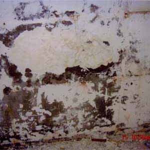 防水‧抓漏‧壁癌處理