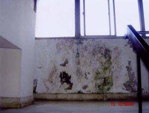 防水‧抓漏‧壁癌處理