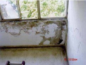 防水‧抓漏‧壁癌處理