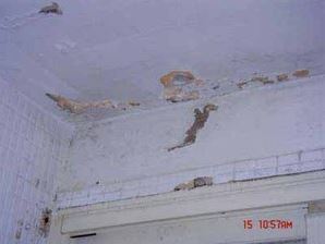 防水‧抓漏‧壁癌處理