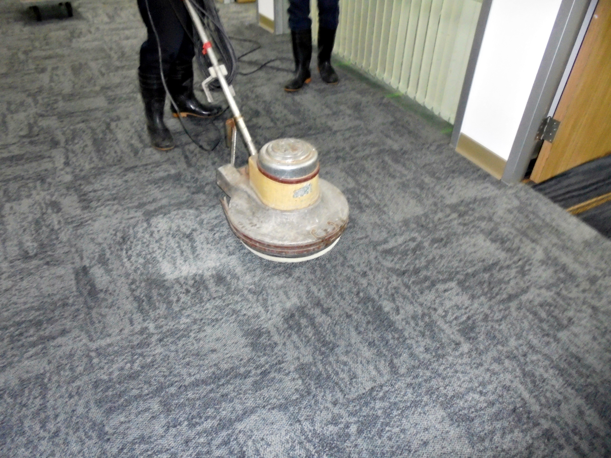 辦公室地毯清潔