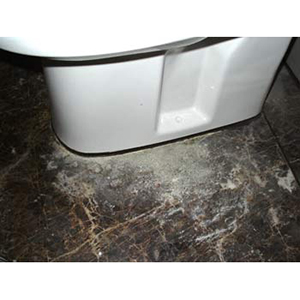 浴室白華清潔前