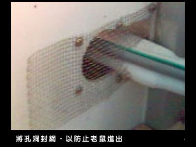 環聯滅蟲有限公司-蟲害防治