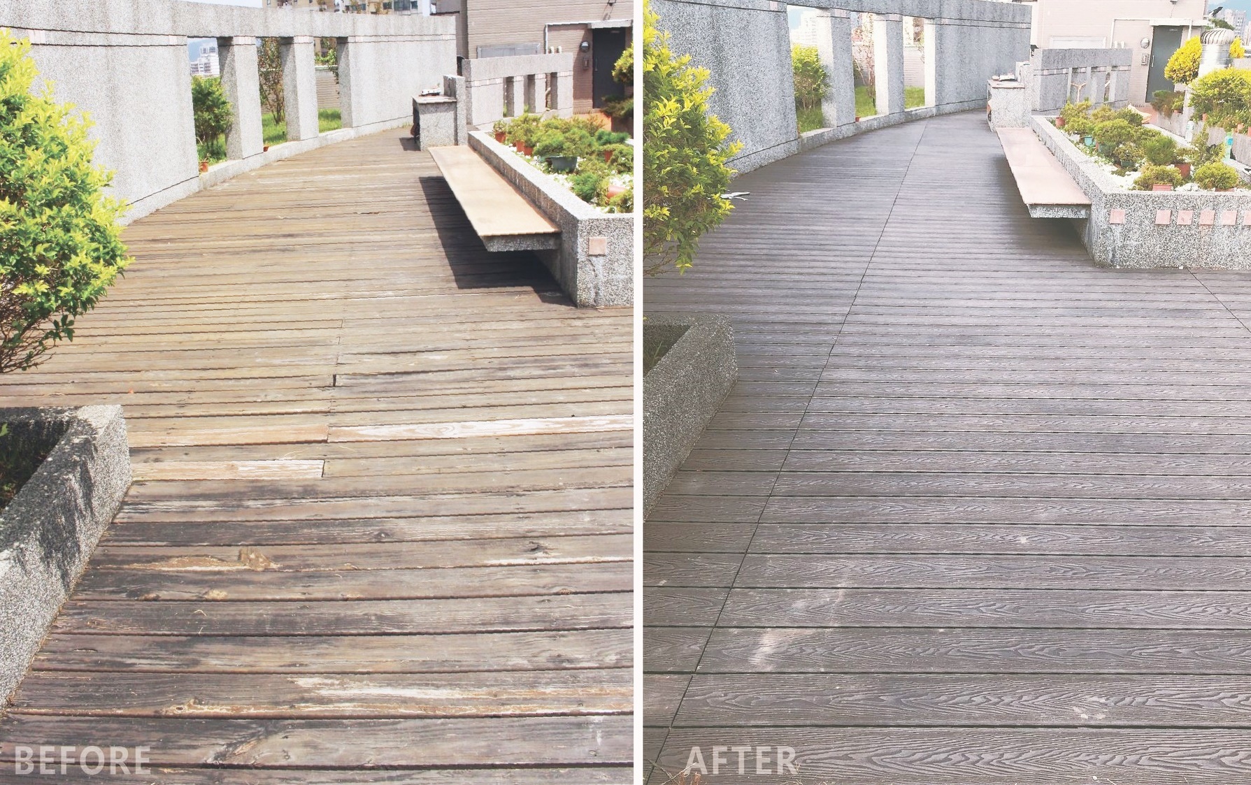 舊有南方松拆除