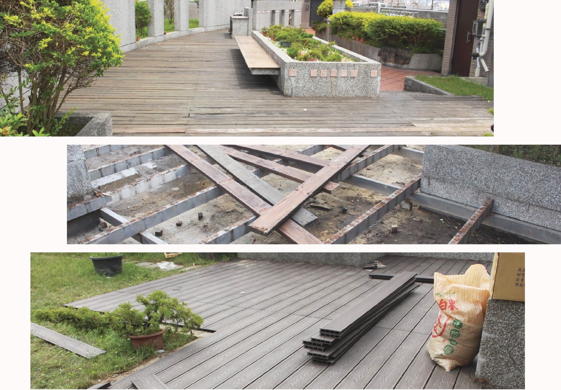 舊有南方松拆除