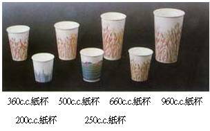 紙杯