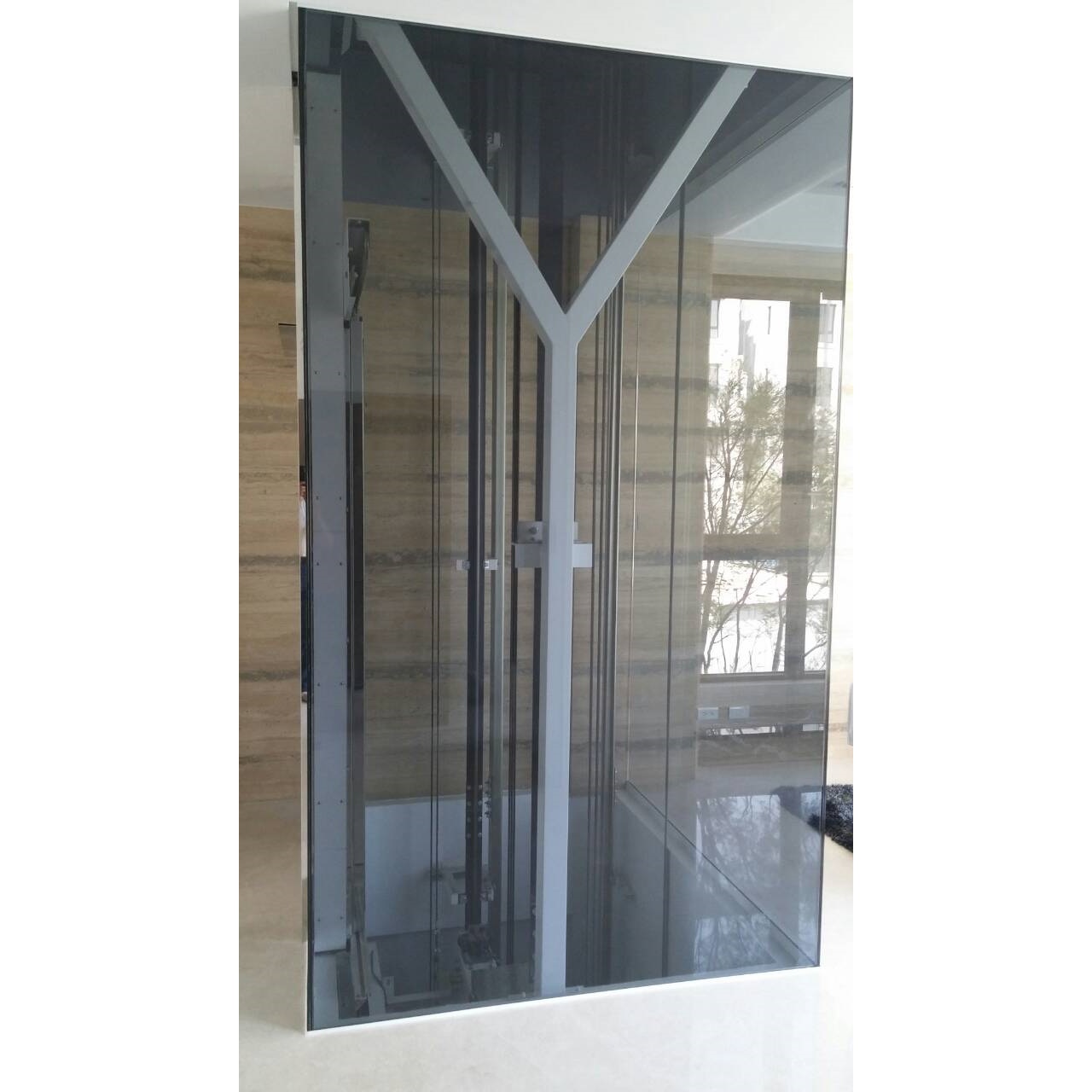 台中七期豪宅透明電梯