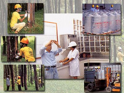 松岱實業-化工原料