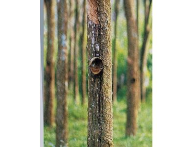 松岱實業-化工原料