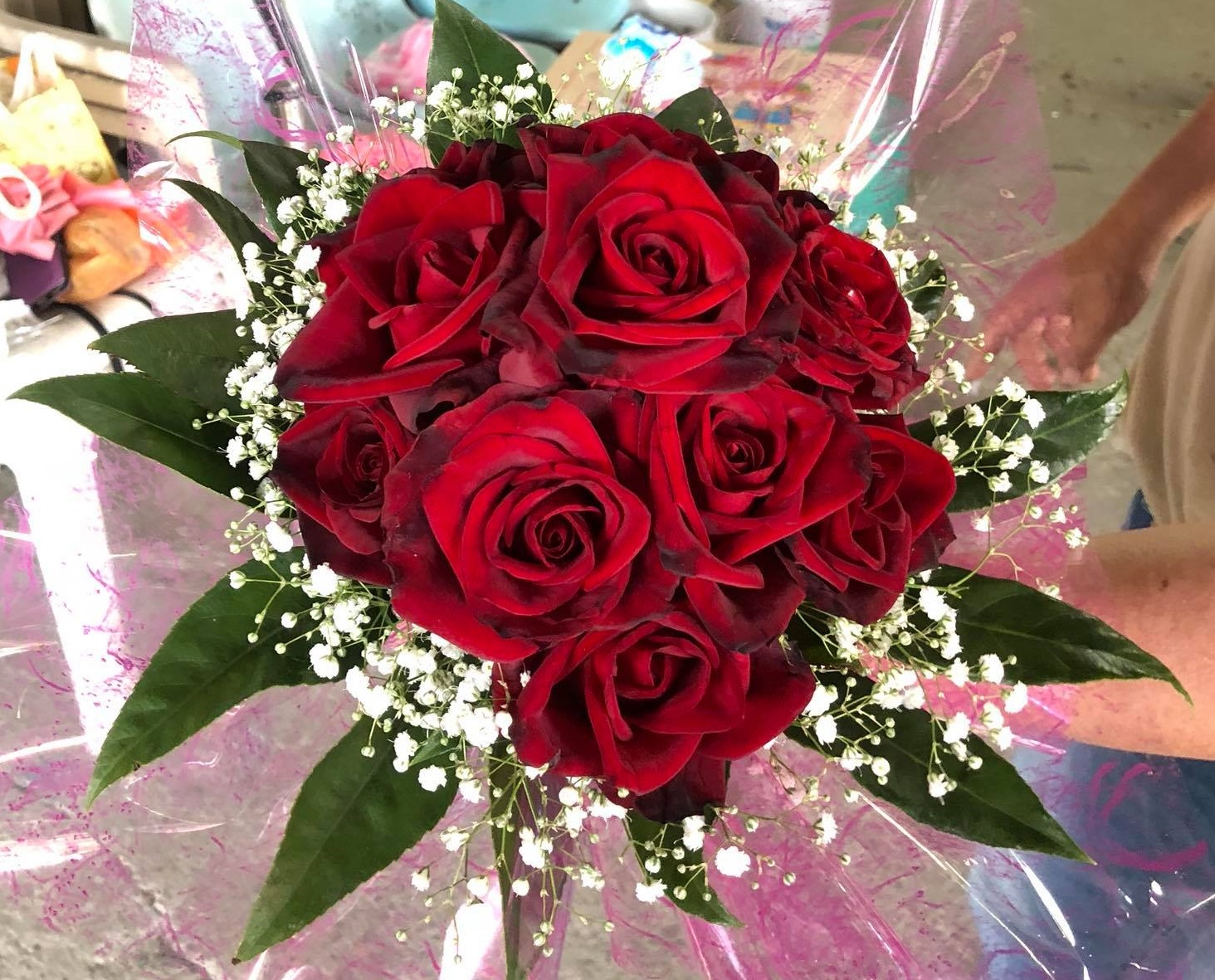 蔡永太-花圃、苗圃