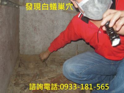 大台中除蟲企業行-undefined