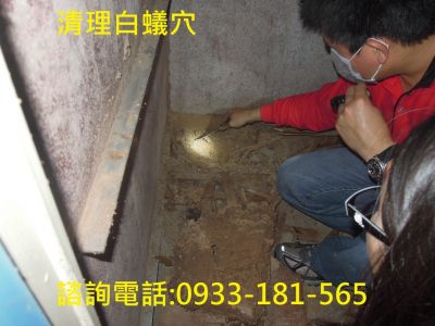 大台中除蟲企業行-undefined