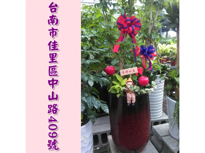 玫瑰花苑-undefined