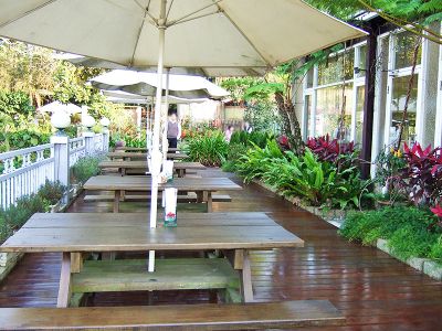 大熊．普羅旺斯花園-undefined