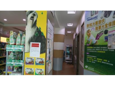 中美動物醫院-undefined