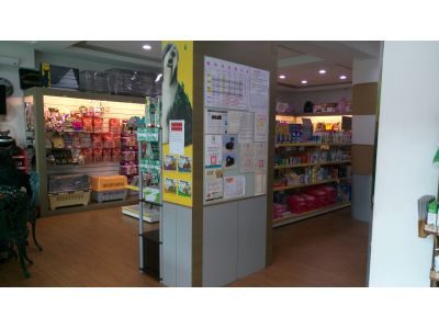 中美動物醫院-undefined