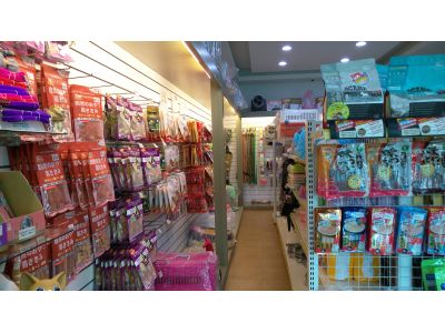 中美動物醫院-undefined