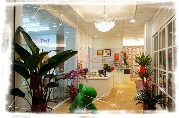 玩美寵物沙龍-undefined