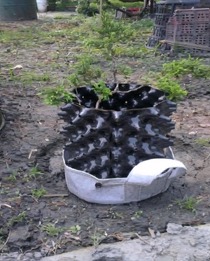 鎧悅國際有限公司-undefined