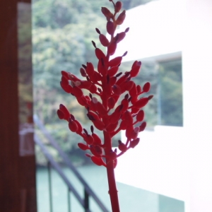 荷丰服飾有限公司-undefined