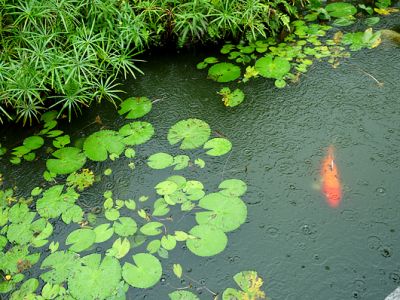 騎腳酸休閒文化事業社-undefined